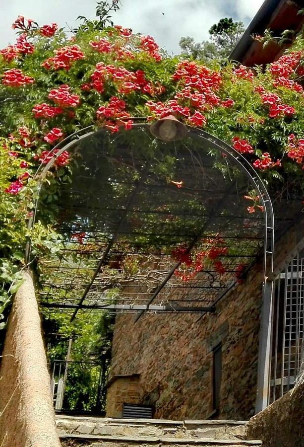 Alqueria De Hurdes Horcajo  Εξωτερικό φωτογραφία